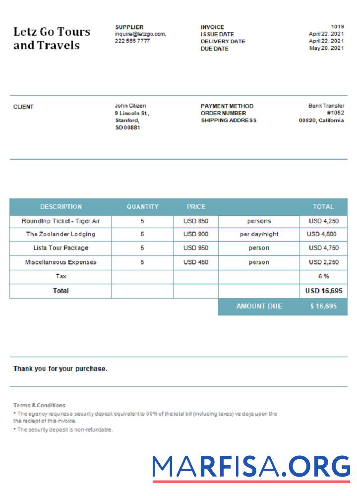 Realistic USA Letz Go Tours and Travels invoice sample